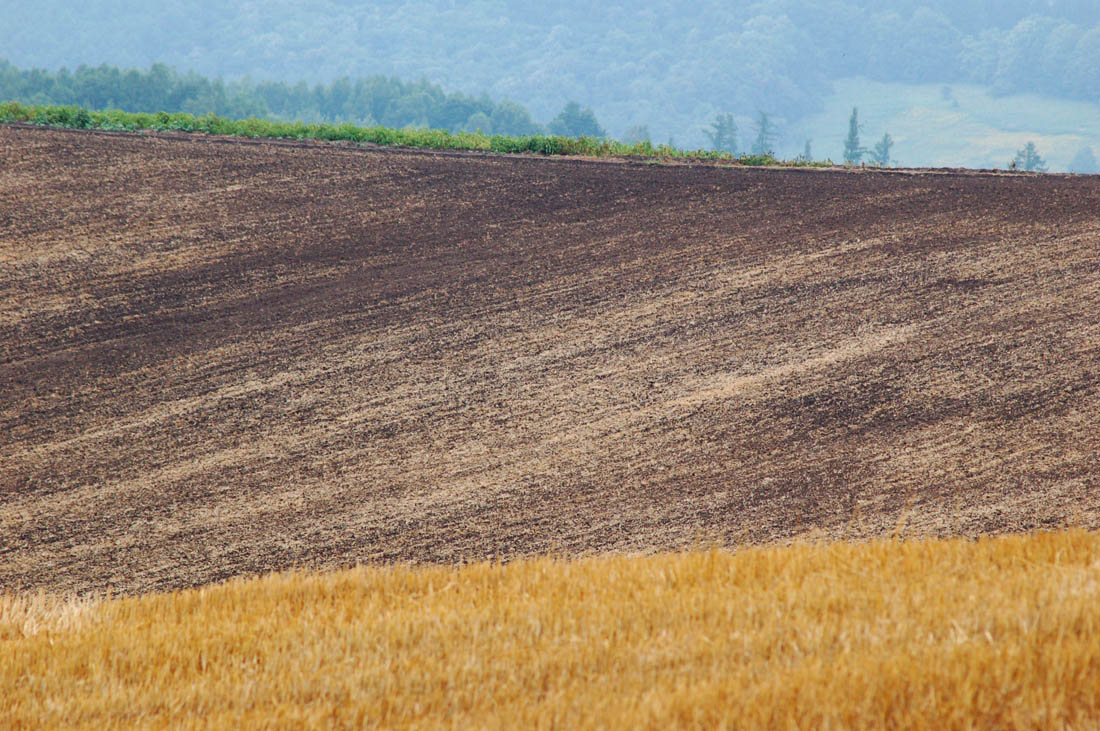 美瑛 風景写真ギャラリーweb制作|旭地区 焼き畑?