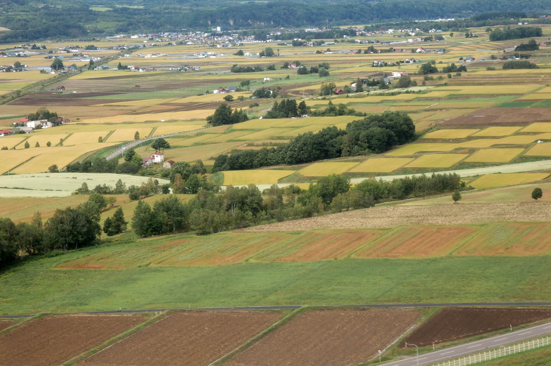 美瑛 風景写真ギャラリーweb制作|旭川空港 美瑛方向へ離陸