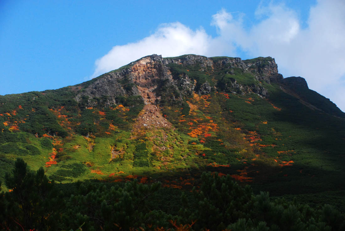 2025大雪山十勝岳紅葉情報 上富良野側