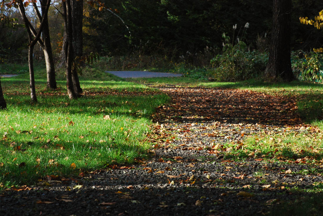 美瑛 風景写真ギャラリーweb制作|白金 道の駅