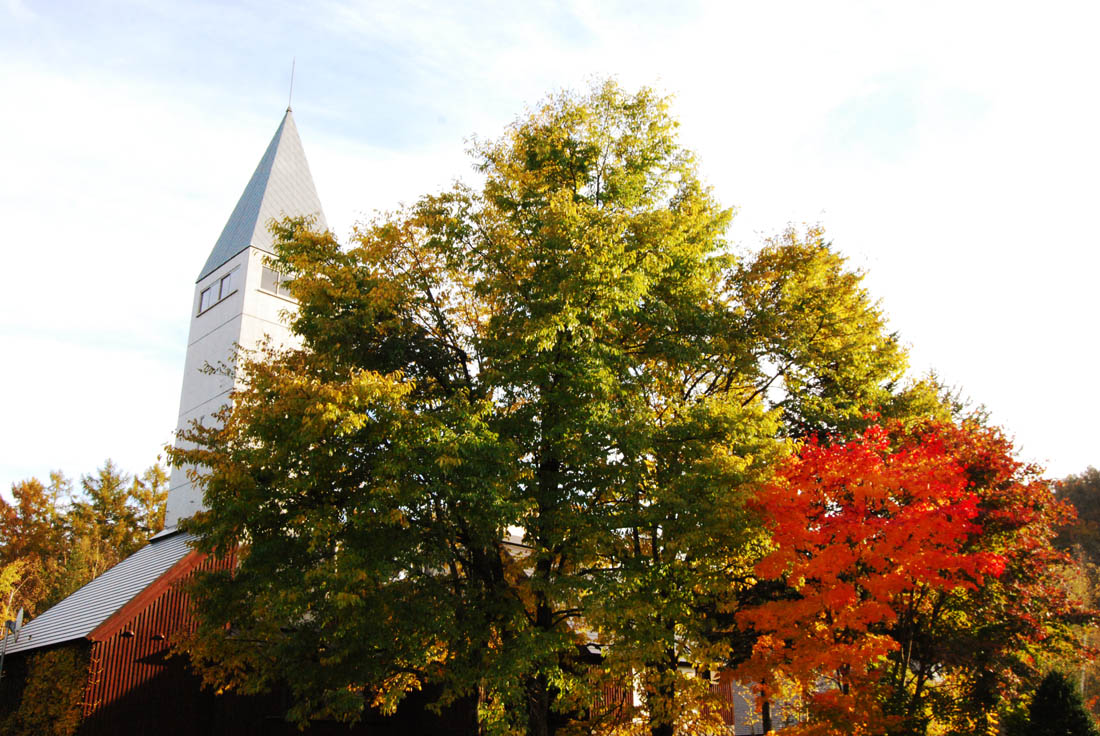 美瑛 風景写真ギャラリーweb制作|白金 道の駅