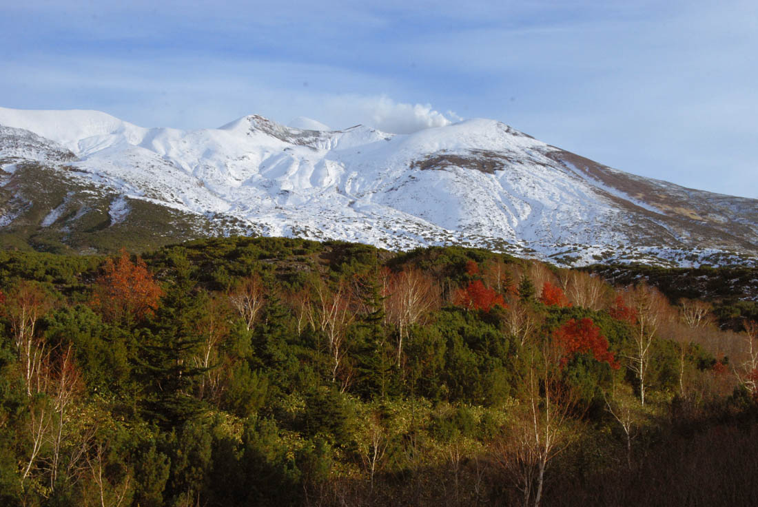 美瑛 風景写真ギャラリーweb制作|十勝岳2023紅葉 完
