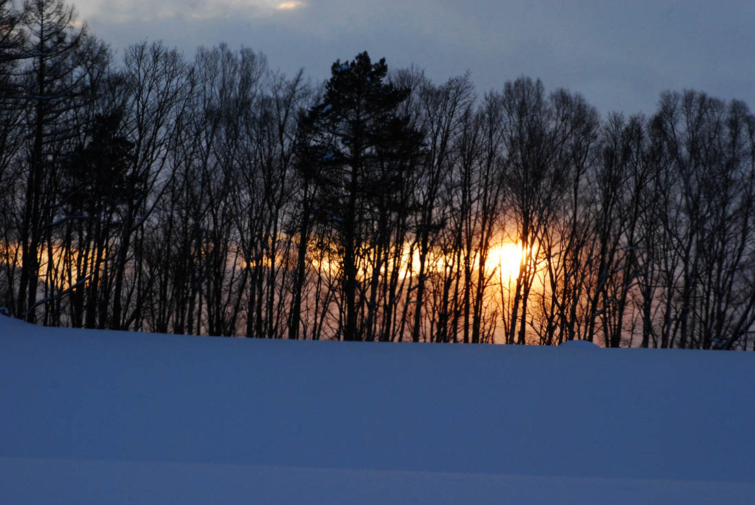 美瑛 風景写真ギャラリーweb制作|憩地区にて