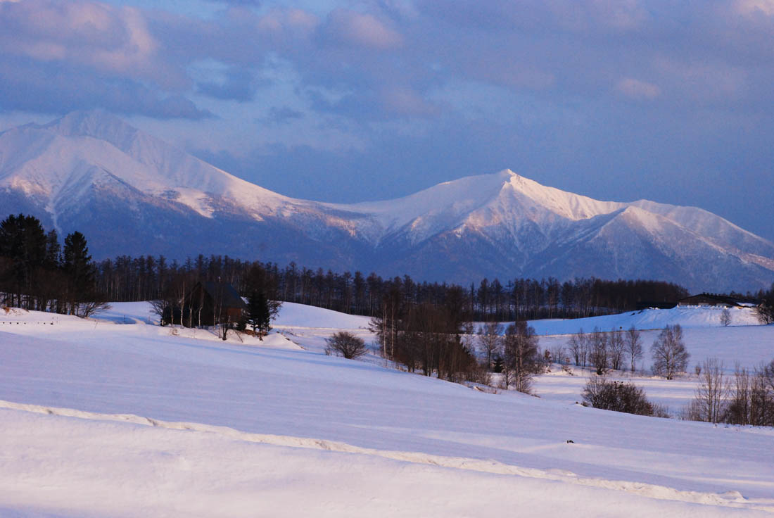 美瑛 風景写真ギャラリーweb制作|美瑛町 福富瑛進より
