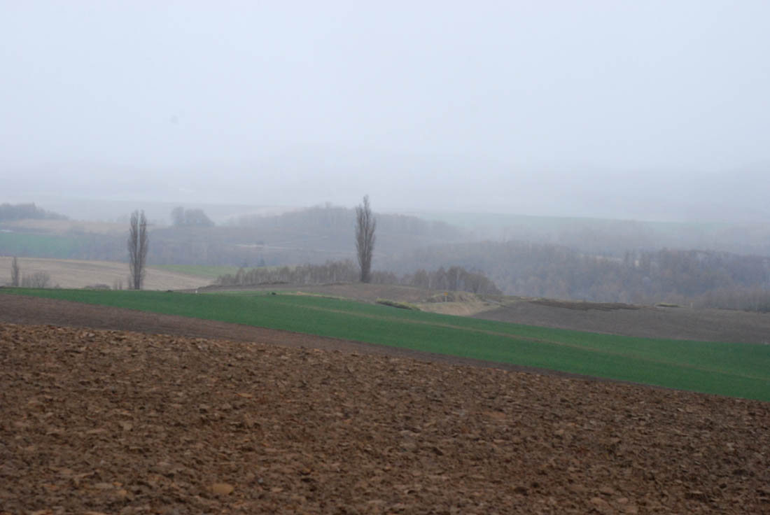 美瑛 風景写真ギャラリーweb制作|大村地区