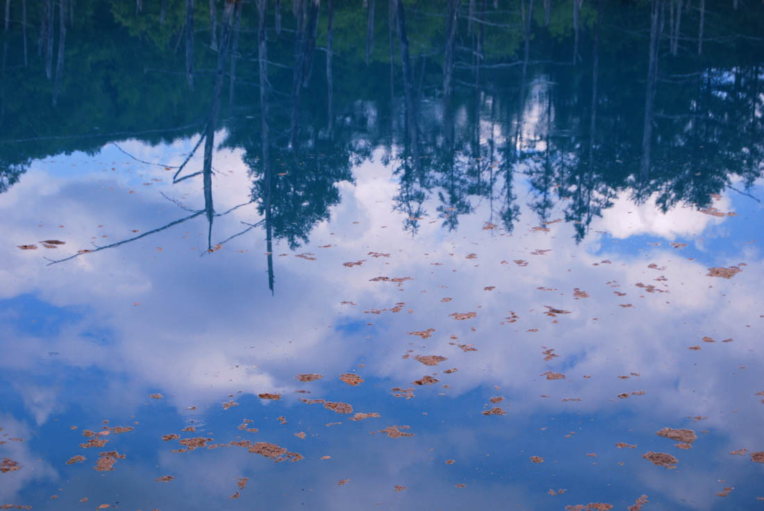 美瑛 風景写真ギャラリーweb制作|穏やかな青い池