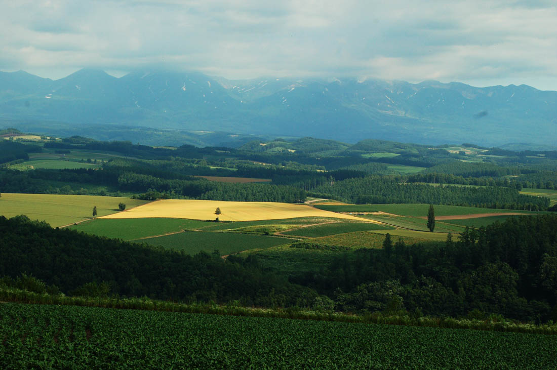 美瑛 風景写真ギャラリーweb制作|旭川市 就実の丘