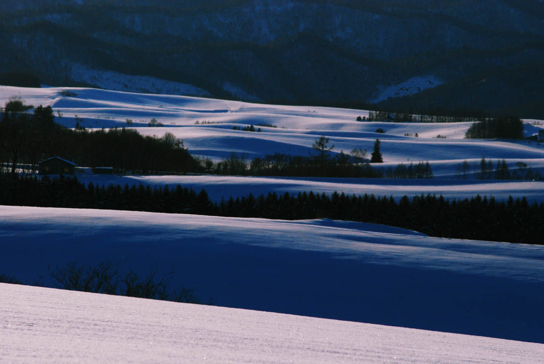 美瑛 風景写真ギャラリーweb制作|福富瑛進地区