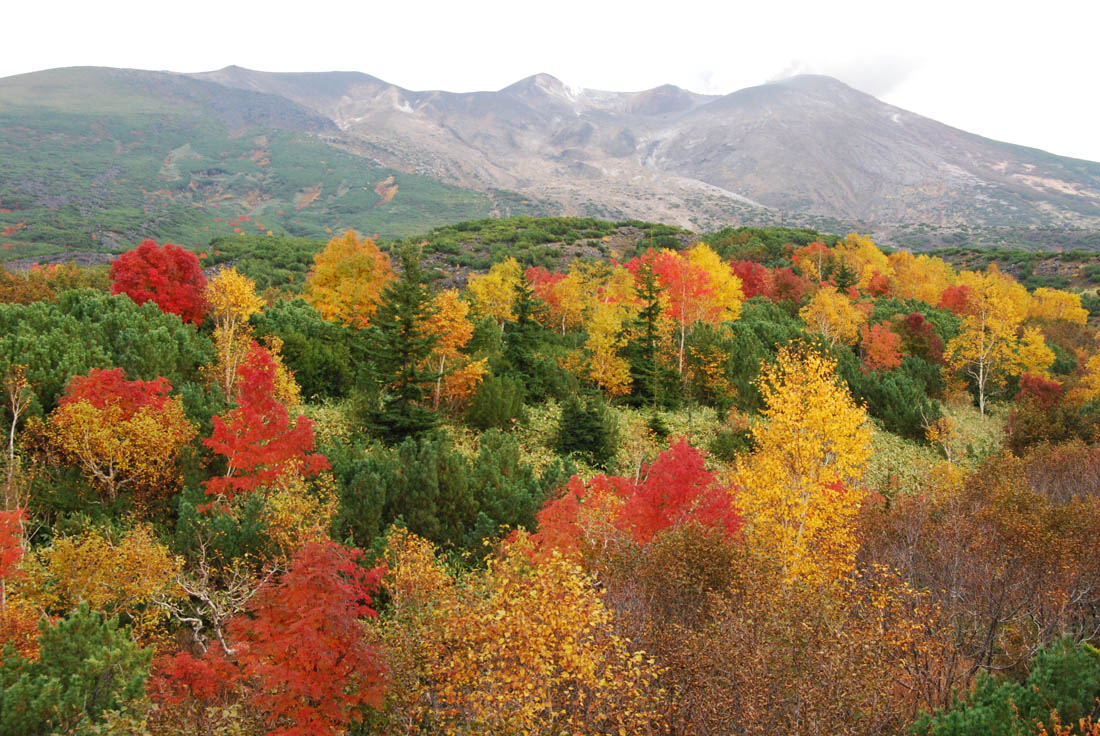 美瑛 風景写真ギャラリーweb制作|十勝岳望岳台