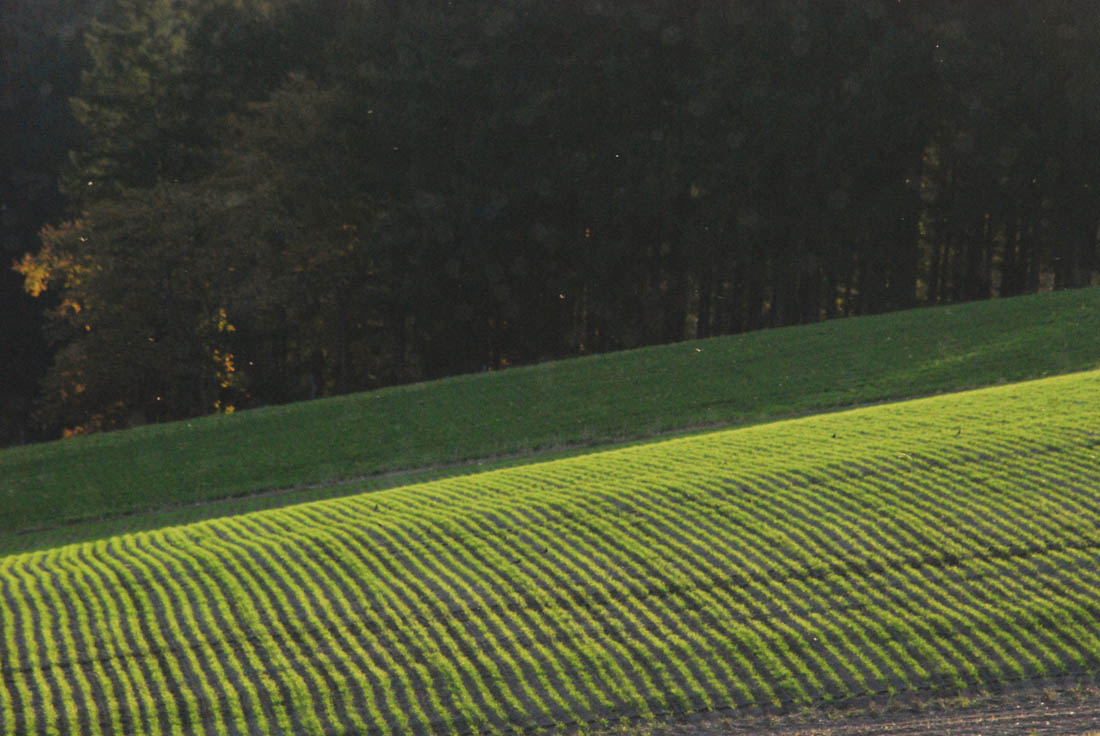 美瑛 風景写真ギャラリーweb制作|三愛の丘付近にて