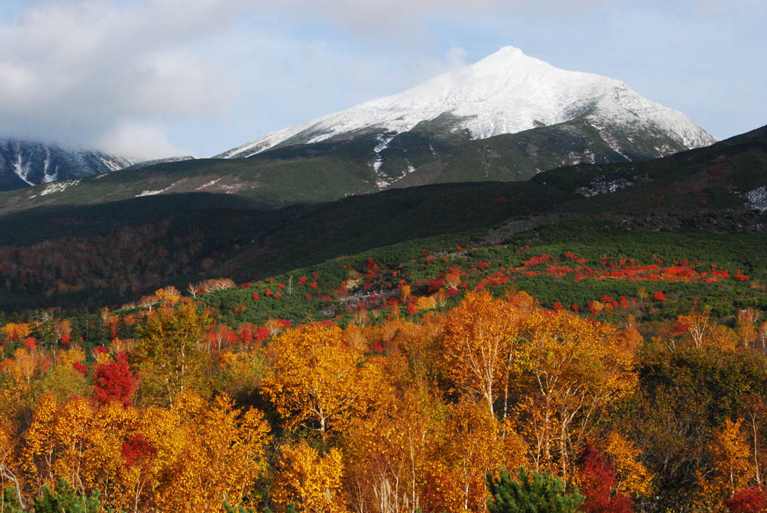 美瑛 風景写真ギャラリーweb制作|望岳台付近