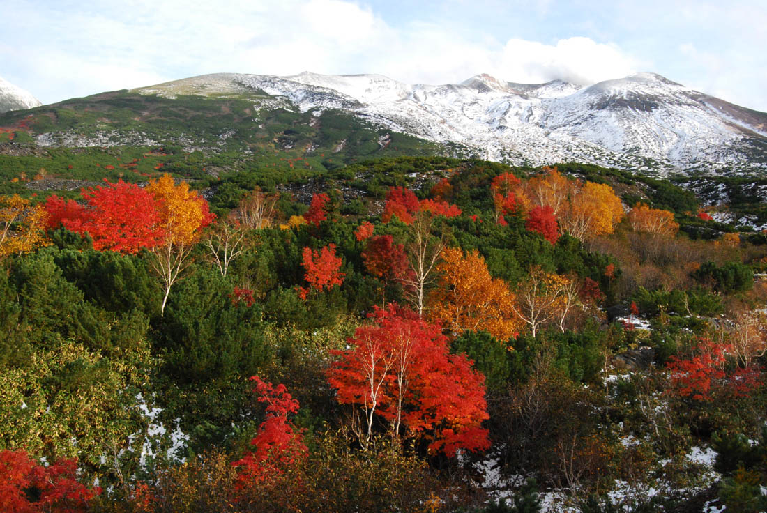 美瑛 風景写真ギャラリーweb制作|雪が降った望岳台