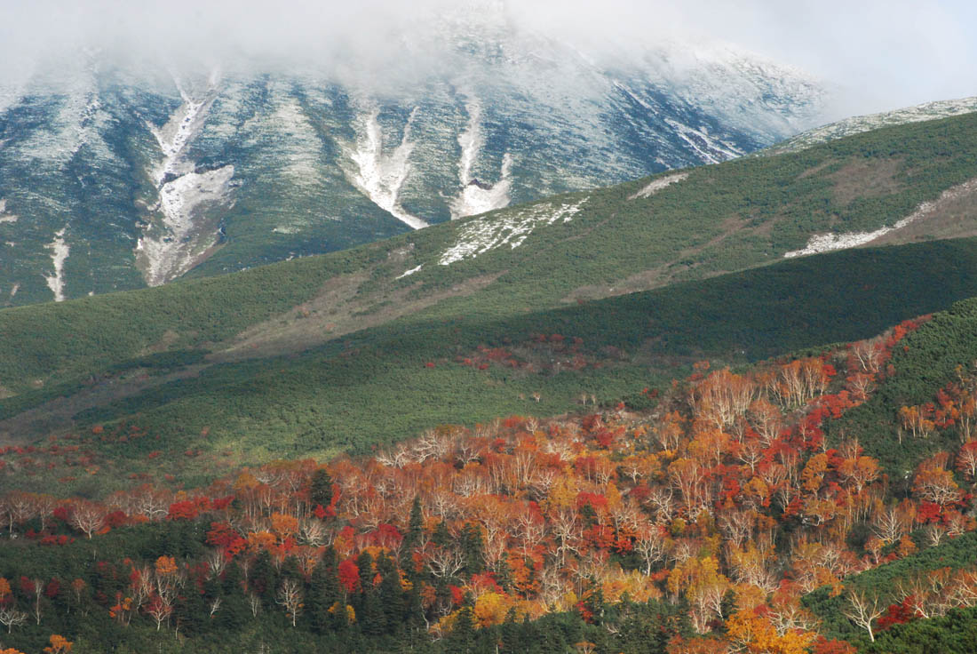 美瑛 風景写真ギャラリーweb制作|落葉はじまり