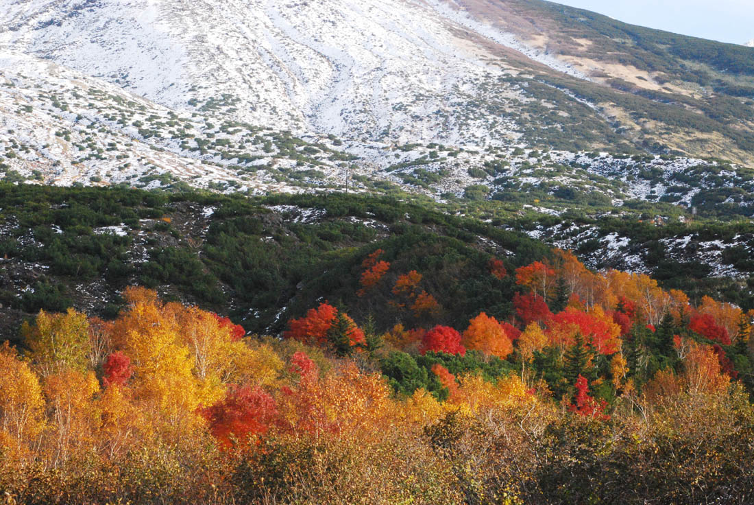 美瑛 風景写真ギャラリーweb制作|雪で覆われ気配