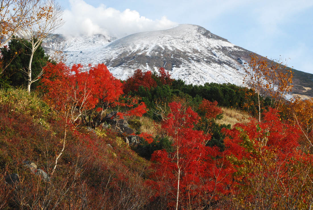 美瑛 風景写真ギャラリーweb制作|吹上 20日で冬季通行止