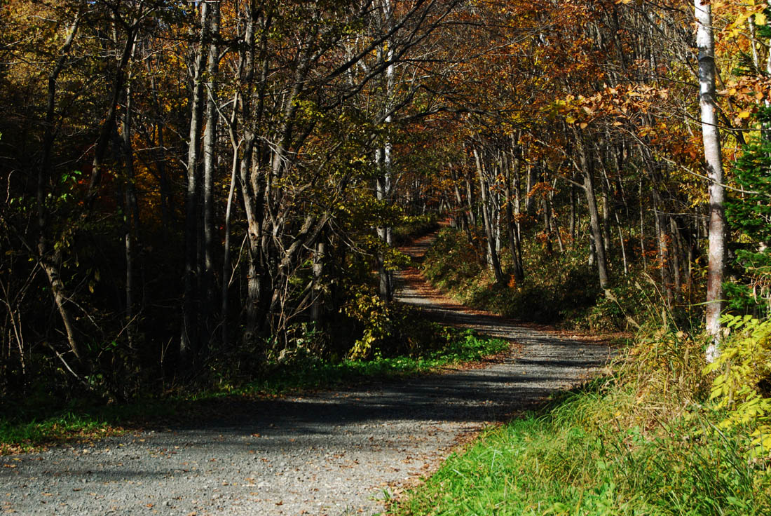 美瑛 風景写真ギャラリーweb制作|旭川市就実地区