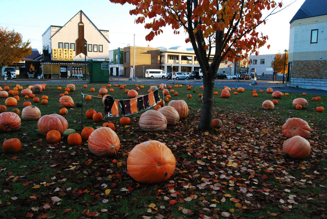 美瑛 風景写真ギャラリーweb制作|ハロウィンらしく