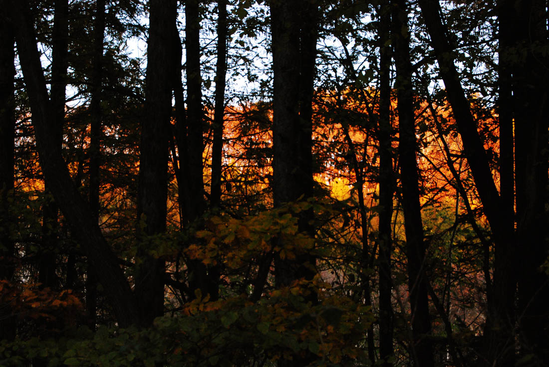 美瑛 風景写真ギャラリーweb制作|福富憩にて