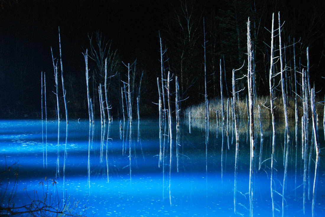 美瑛 風景写真ギャラリーweb制作|今季もライトアップ開始