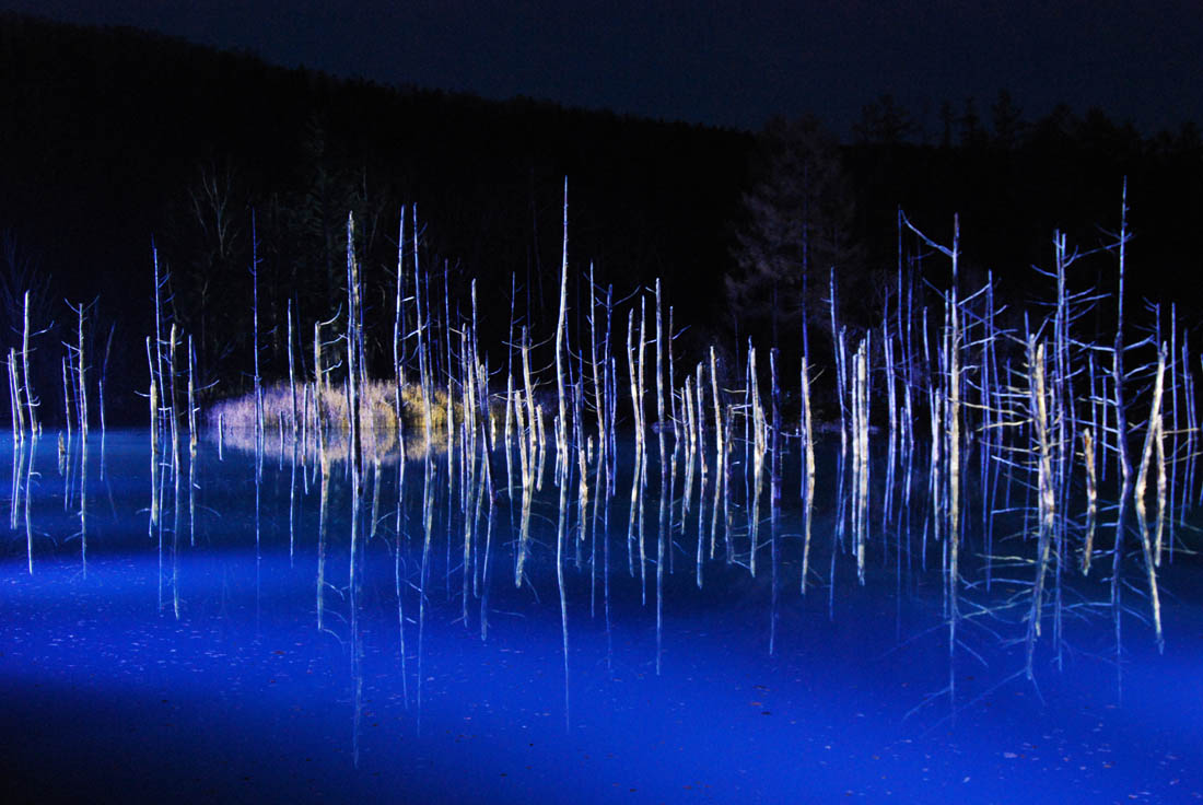 美瑛 風景写真ギャラリーweb制作|青い池ライトアップ2023