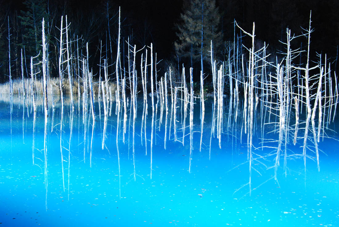 美瑛 風景写真ギャラリーweb制作|青い池ライトアップ2023