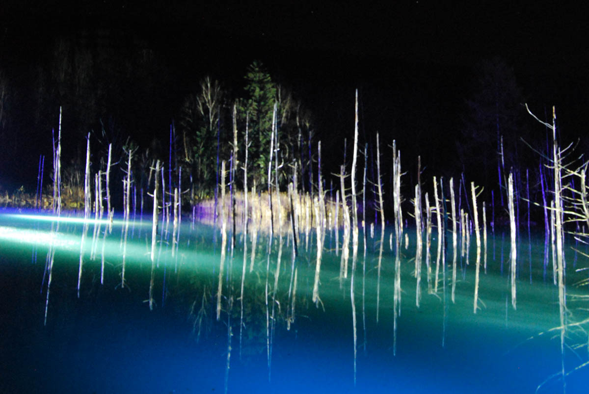 美瑛 風景写真ギャラリーweb制作|青い池 ライトアップ