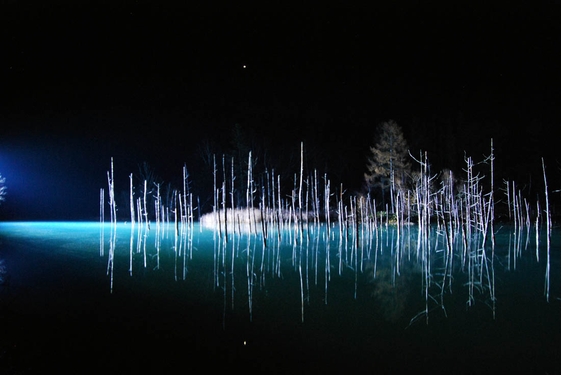 美瑛 風景写真ギャラリーweb制作|青い池 ライトアップ