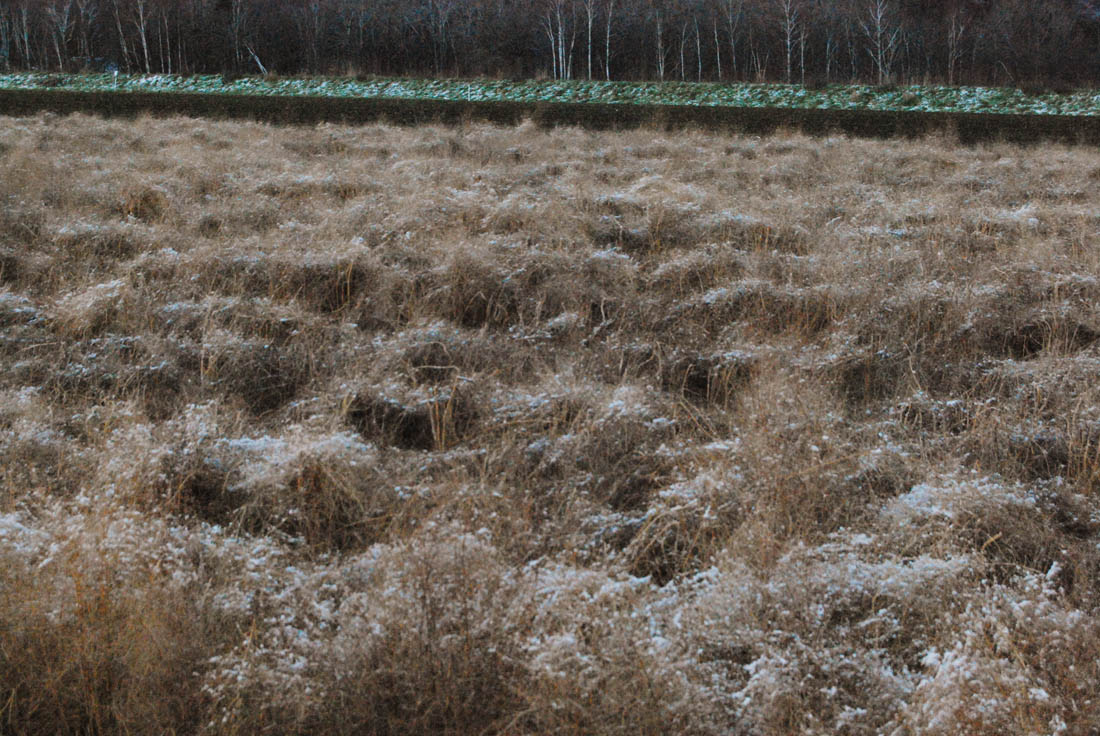 美瑛 風景写真ギャラリーweb制作|白金街道にて