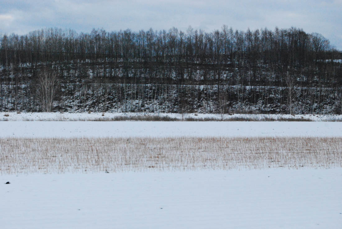 美瑛 風景写真ギャラリーweb制作|白金街道