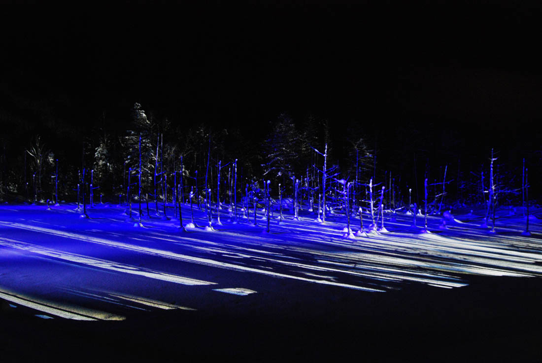 美瑛 風景写真ギャラリーweb制作|青い池ライトアップ24.1