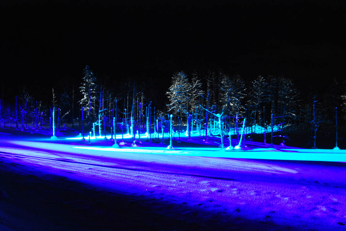 美瑛 風景写真ギャラリーweb制作|青い池ライトアップ