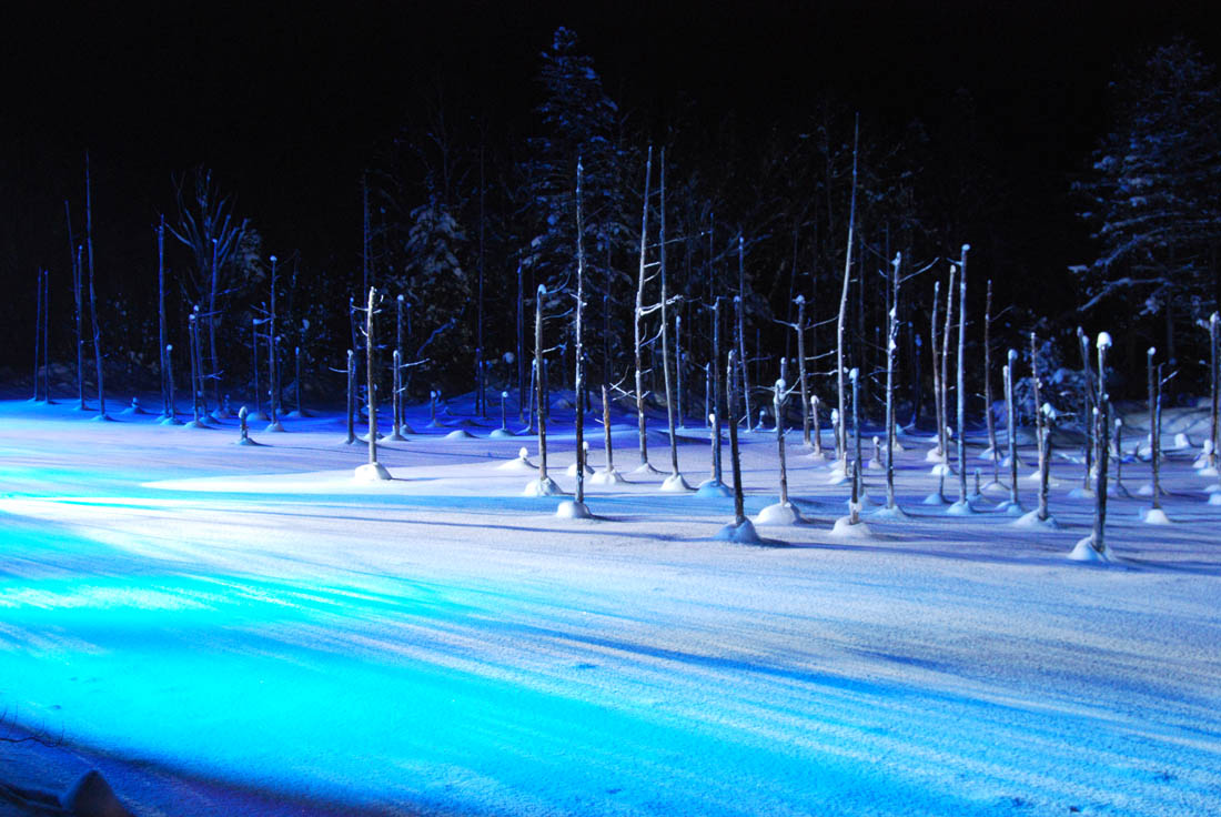 美瑛 風景写真ギャラリーweb制作|青い池ライトアップ