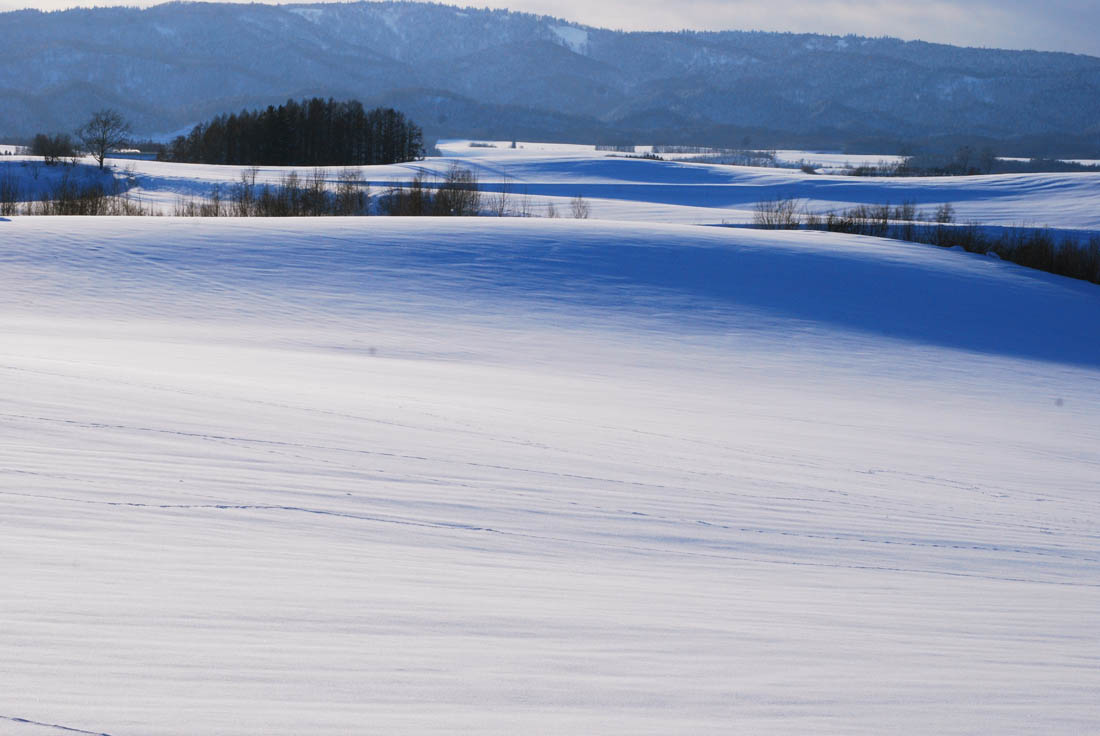 美瑛 風景写真ギャラリーweb制作|新栄の丘