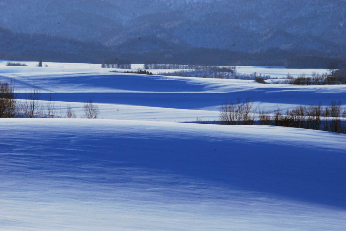 美瑛 風景写真ギャラリーweb制作|新栄の丘