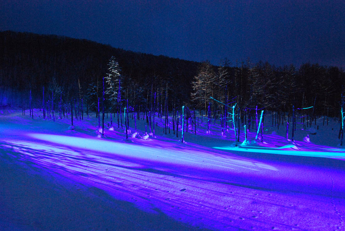 美瑛 風景写真ギャラリーweb制作|青い池ライトアップ