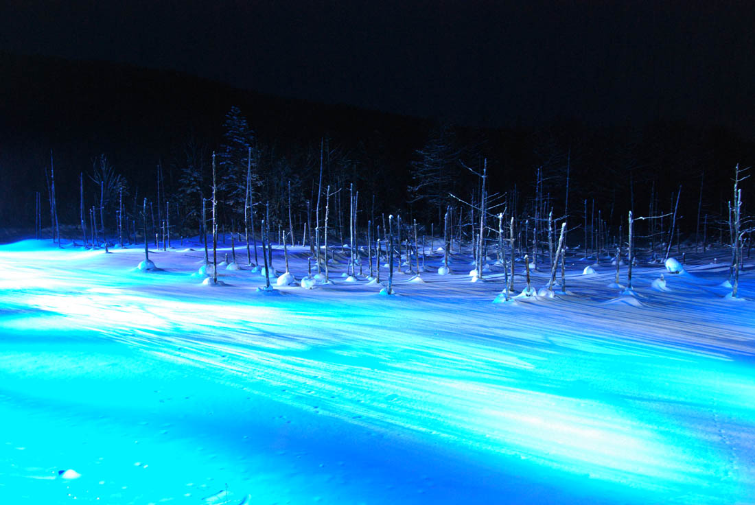 美瑛 風景写真ギャラリーweb制作|青い池ライトアップ