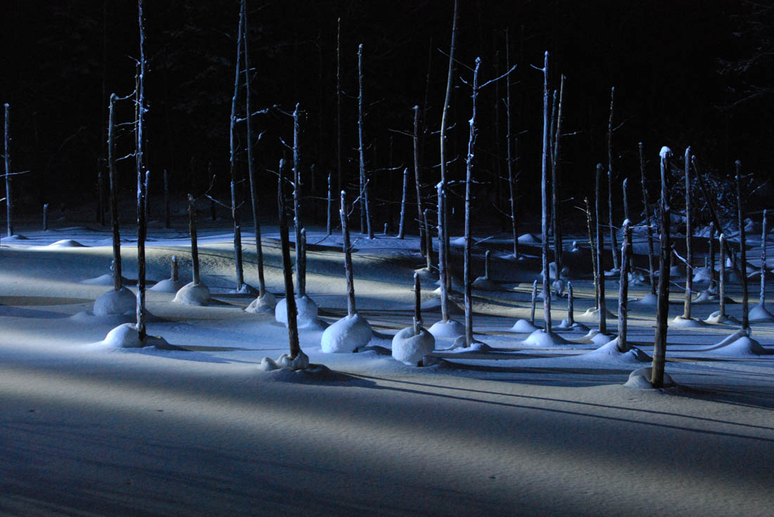 美瑛 風景写真ギャラリーweb制作|青い池ライトアップ