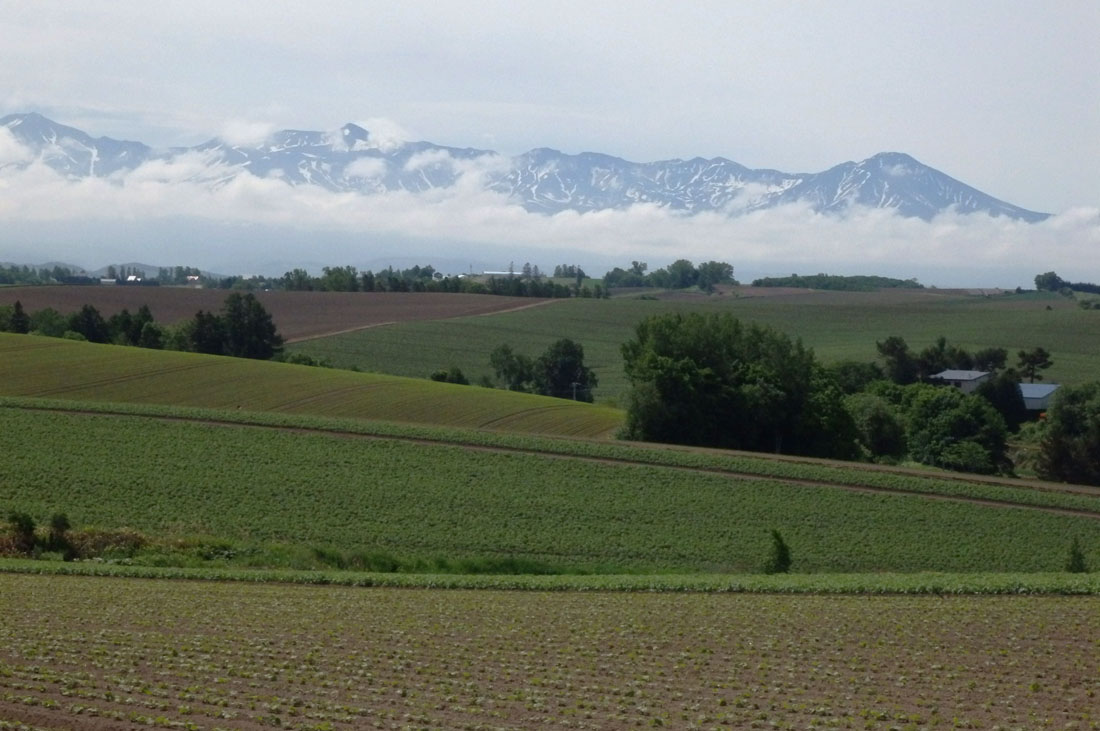 美瑛 風景写真ギャラリーweb制作|北瑛地区から