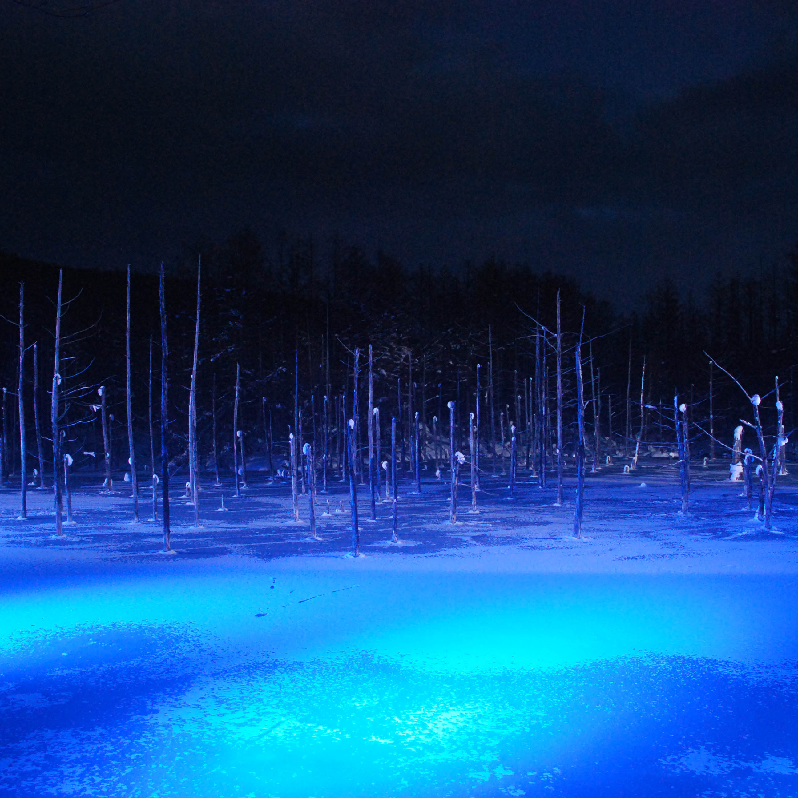 風景写真ギャラリー 美瑛 青い池特集