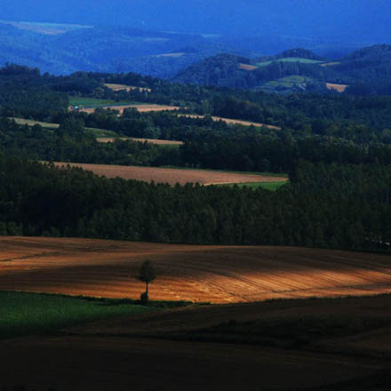 風景写真ギャラリー 美瑛四季