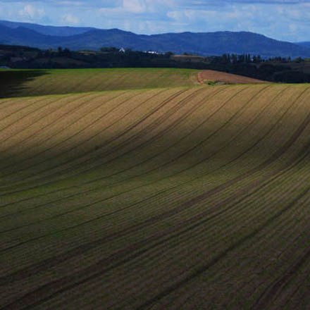 風景写真ギャラリー 美瑛四季